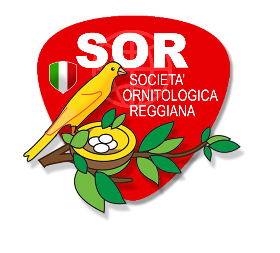 SAN VALENTINO 2026 - Il mercato a colazione della SOR